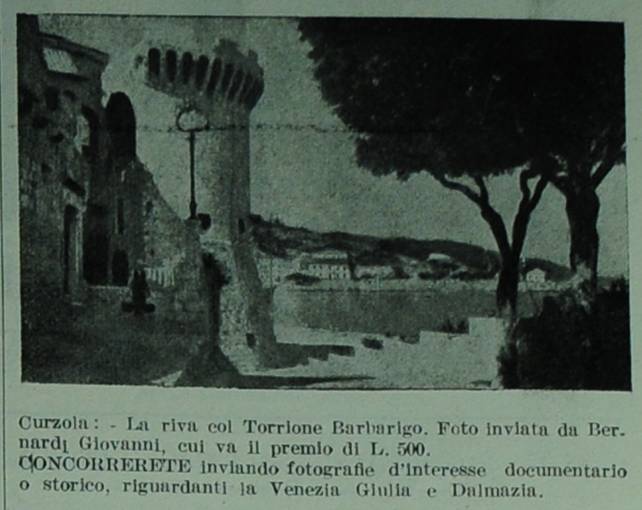 LA FOTO DEL CONCORSO