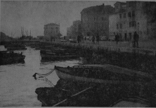 Lungo la riva e Rovigno (Foto Cargnel) - foto