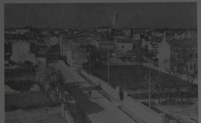 Gallesanesi a Padova - foto