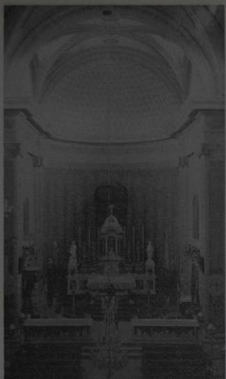 ISTRIA
La parrocchiale di Visinada - FRATE FELICE - foto