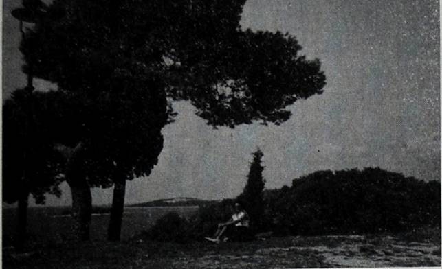 ITINERARI ADRIATICI
A Rovigno con l'aliscafo -
Veloce escursione da Venezia  -  Nives Saitti Cardone - foto