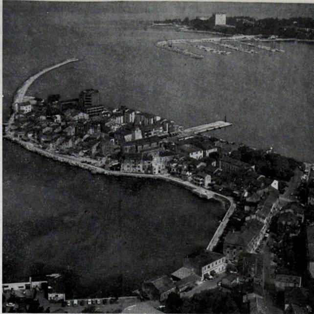 Istria nel sogno di Bruno Fonda
Ritorno del cocal profugo anche lu - foto