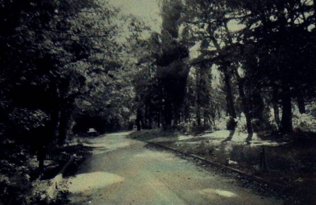 Pola - Foto