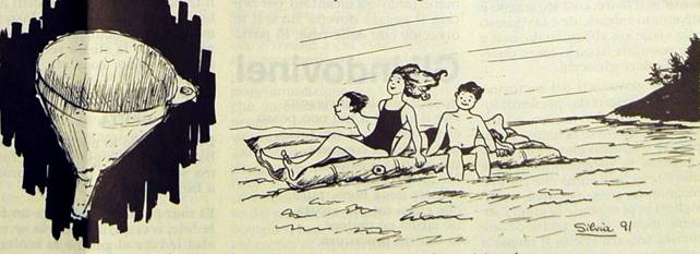 Solussioni del indovinei de la pagina indrio: piria e bava - vignetta