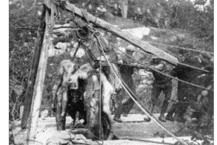 La memoria e la vergogna di Pino Tarticchio - foto